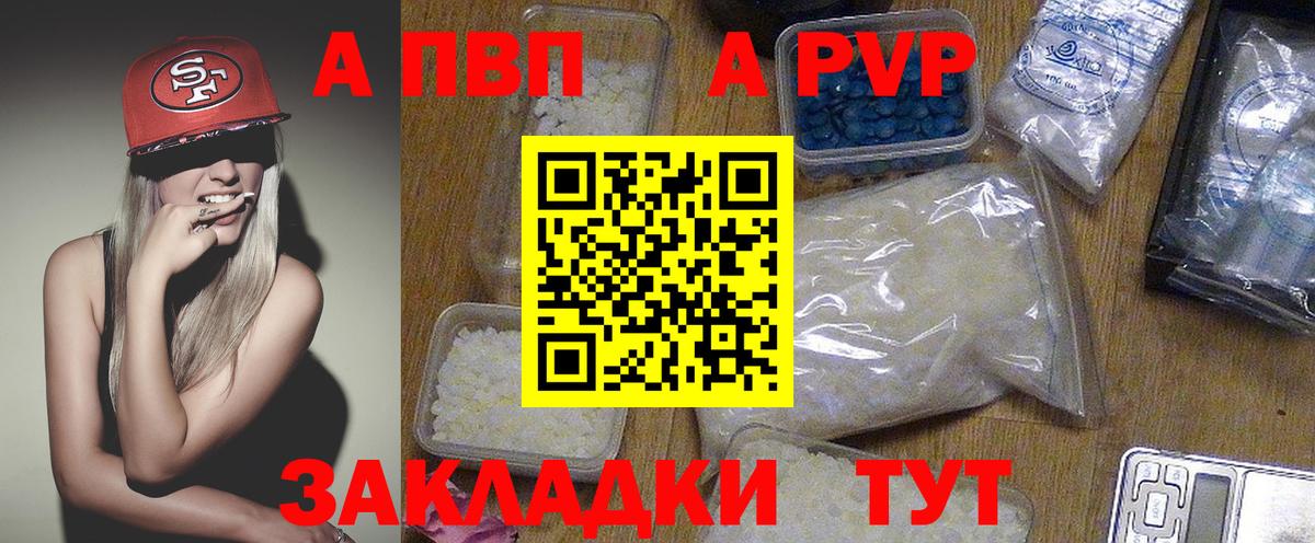 Альфа ПВП СК Новокубанск