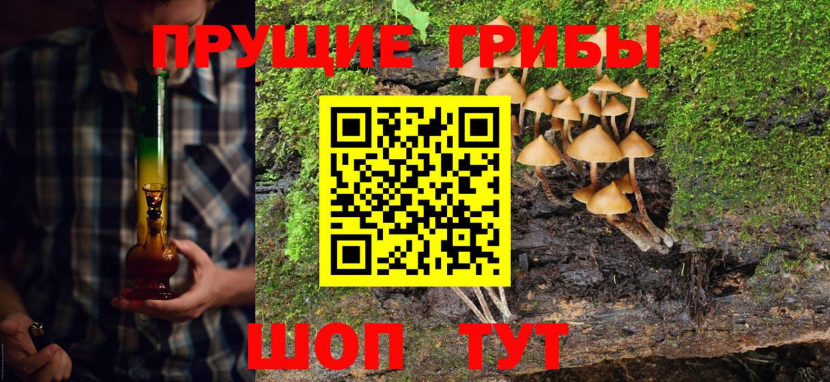 Новокубанск  Галлюциногенные грибы Cubensis  Псилоцибиновые грибы мухоморы  Вход с VPN 